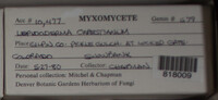 Image Associated With the Occurence